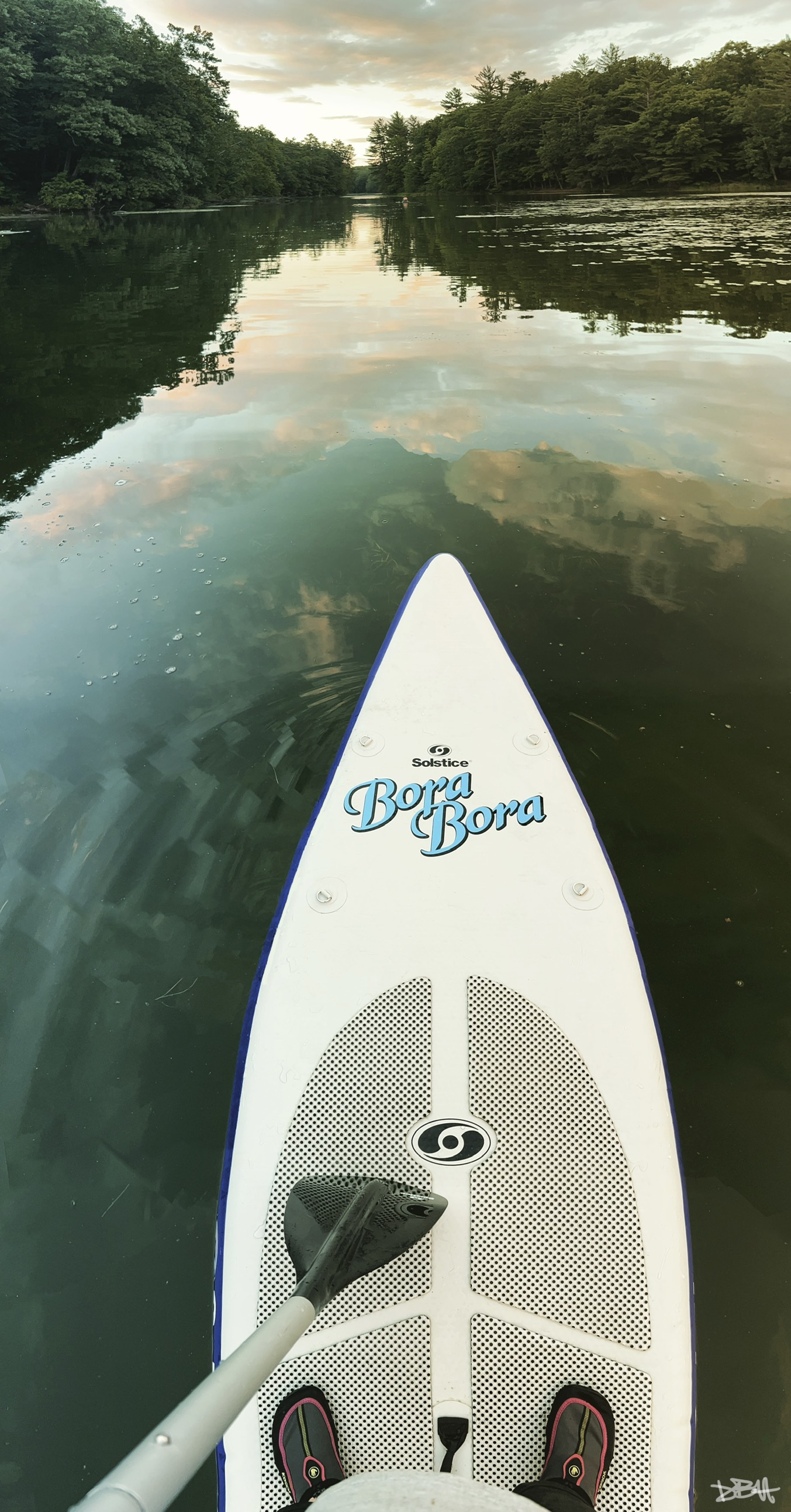 Paddleboard on calm water surrounded by forest